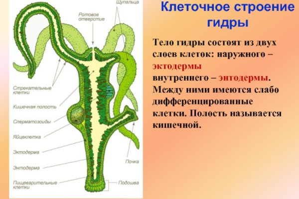 Кракен новый сайт