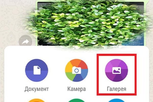 Магазин наркоты