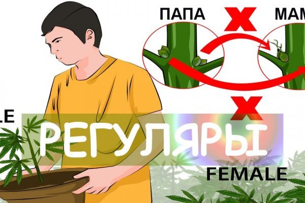 Магазины наркотиков