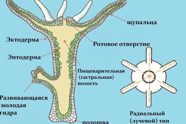Кракен наркотики россия
