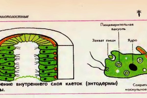 Кракен нар шоп