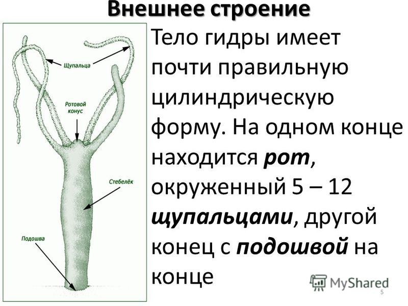 Можно вывести деньги с кракена